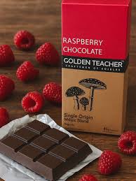 GOLDEN TEACHER "RASPBERRY CHOCOLATE"